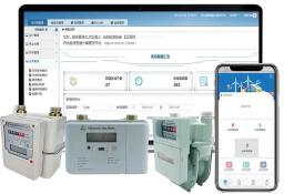 The Construction Principle of Smart Gas Meter