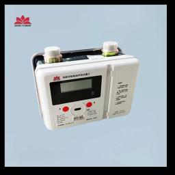 Working Characteristics of Ultrasonic Gas Meter